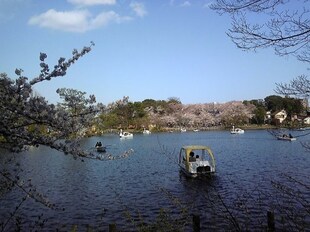 レディオ洗足池の物件内観写真